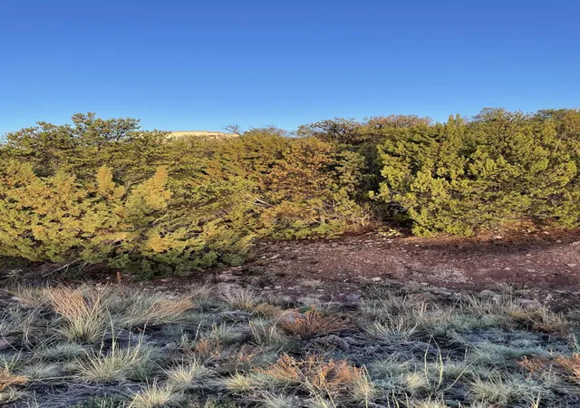 Homes for sale in Sandia Park, NM | 15 Tigua Dr, Sandia Park, NM 87047 | MLS# 1102162