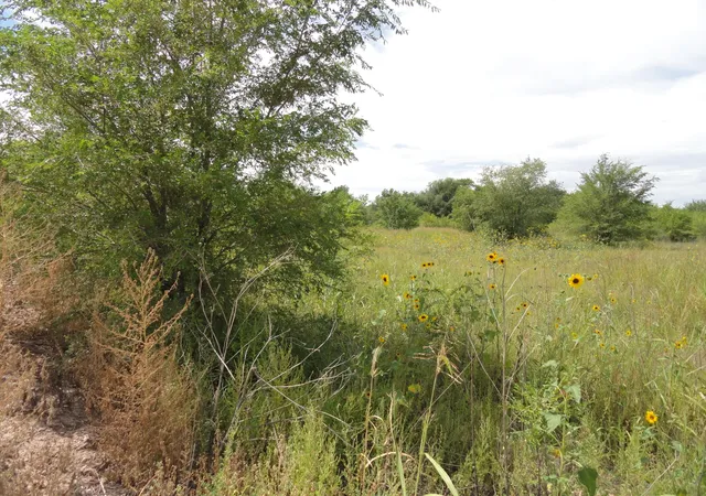 1st image of Molina Rd, Peralta, NM 87042 | MLS# 1102080