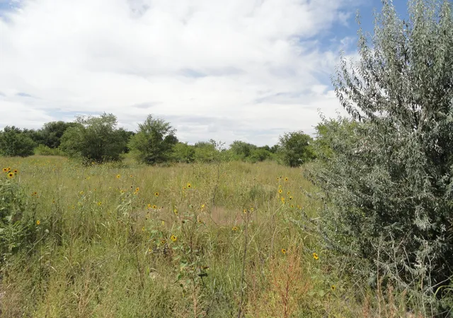 3rd image of Molina Rd, Peralta, NM 87042 | MLS# 1102080