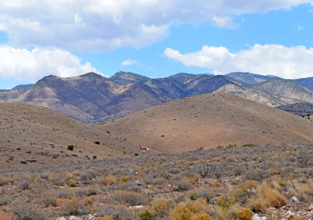 Photo 1 of Land for sale at Lot 7 Painted Horse Rd, San Antonio, NM 87832 | MLS# 1102336 | Listing updated on 2026-07-22
