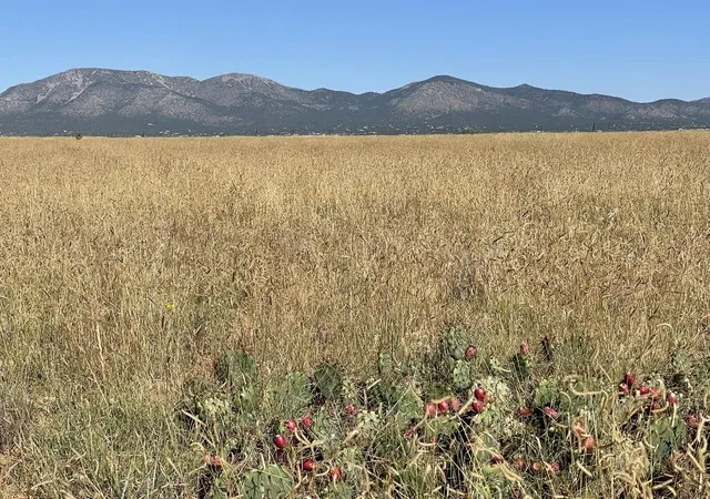 1st image of 136 Moseley Rd, Edgewood, NM 87015 | MLS# 1102494