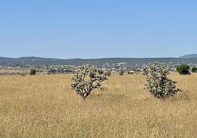 Photo 4 of Land for sale at 136 Moseley Rd, Edgewood, NM 87015 | MLS# 1102494 | Listing updated on 2026-07-28