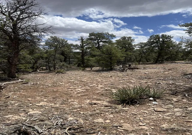 Homes for sale in Thoreau, NM | Lot 15 Marlin Rd #15, Thoreau, NM 87323 | MLS# 1102526