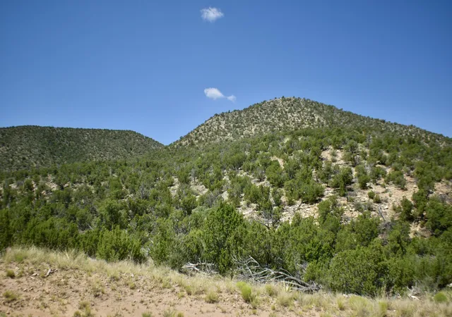 Photo 5 of Land for sale at 6 Chato Trl, Mountainair, NM 87036 | MLS# 1102533 | Listing updated on 2026-08-17