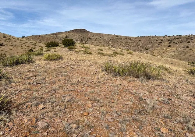 Homes for sale in San Antonio, NM | Willow Springs #R004079, San Antonio, NM 87801 | MLS# 1102562