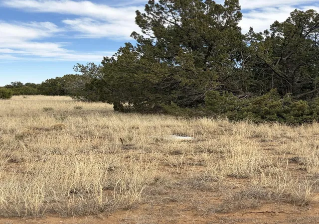 Homes for sale in Tajique, NM | Tbd Linda Vista Dr, Tajique, NM 87016 | MLS# 1102767