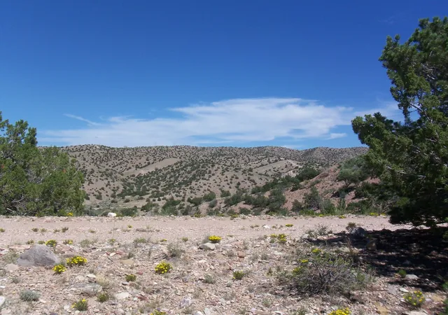 Homes for sale in Placitas, NM | 56 Camino De Las Brisas, Placitas, NM 87043 | MLS# 1102762
