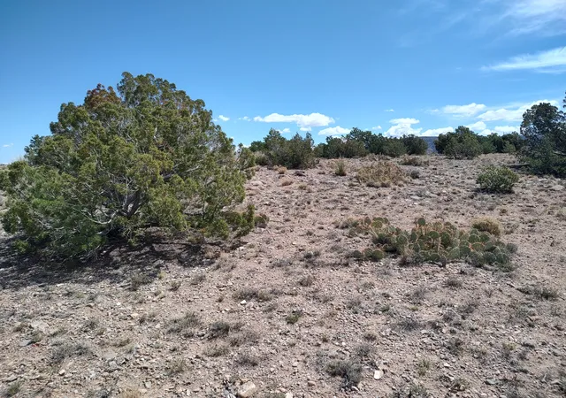 Homes for sale in Placitas, NM | Sunrise Dr, Placitas, NM 87043 | MLS# 1102805