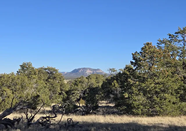 Homes for sale in Pie Town, NM | 39 Cedar Dr, Pie Town, NM 87827 | MLS# 1102945