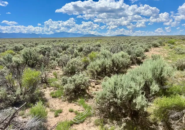 2nd image of Sunshine Valley Upc 1070177069 Rd, Questa, NM 87556 | MLS# 1102995