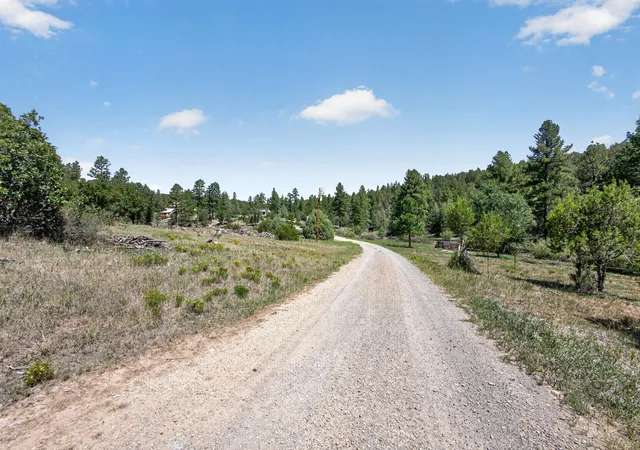 Photo 108 of Single family home for sale at 395 Abcd 4th Of July Rd, Estancia, NM 87016 | MLS# 1103021 | Listing updated on 2026-08-20