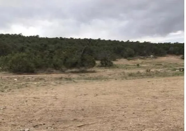 2nd image of Lot 17 Wrye Rancho, Villanueva, NM 87583 | MLS# 1103133