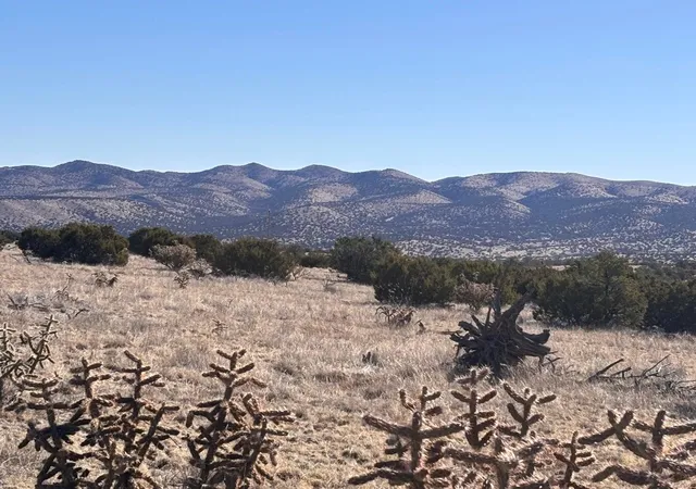 Homes for sale in Magdalena, NM | Lot 168 Pinon Springs, Magdalena, NM 87825 | MLS# 1103161