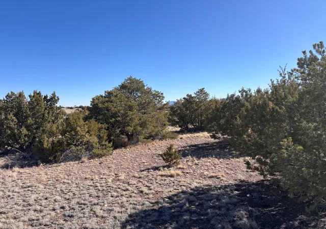 Homes for sale in Magdalena, NM | Lot 174 Pinon Springs, Magdalena, NM 87825 | MLS# 1103162