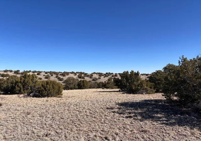 Homes for sale in Magdalena, NM | Lot 174 Pinon Springs, Magdalena, NM 87825 | MLS# 1103162