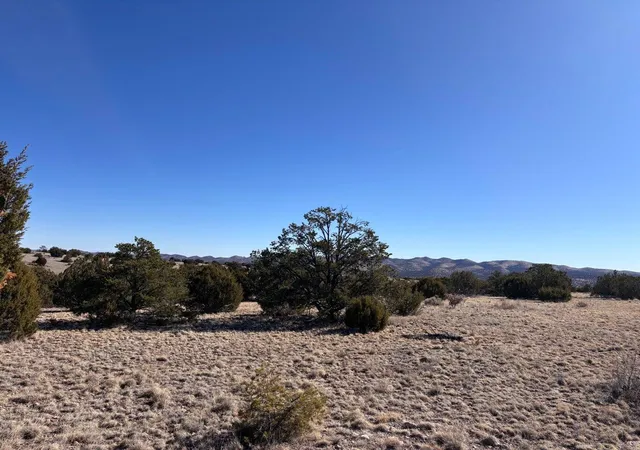 Homes for sale in Magdalena, NM | Lot 174 Pinon Springs, Magdalena, NM 87825 | MLS# 1103162