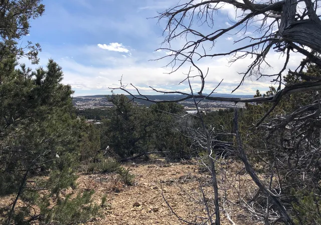 Photo 2 of Land for sale at 6 Joy Ct, Sandia Park, NM 87047 | MLS# 1103294 | Listing updated on 2026-08-07