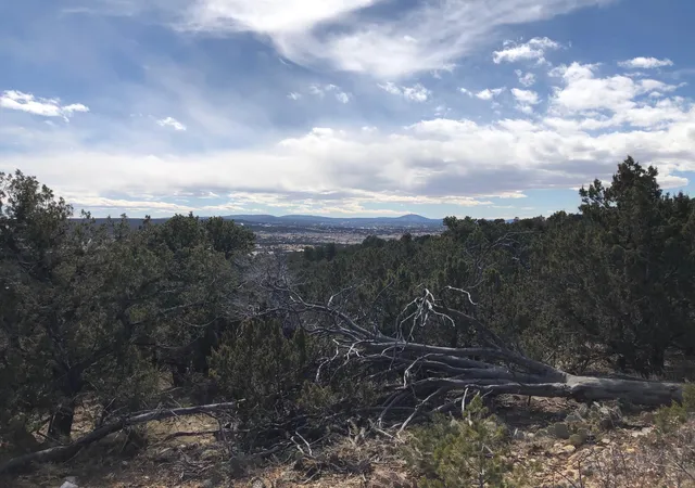 Photo 2 of Land for sale at 6 Joy Ct, Sandia Park, NM 87047 | MLS# 1103294 | Listing updated on 2026-08-07