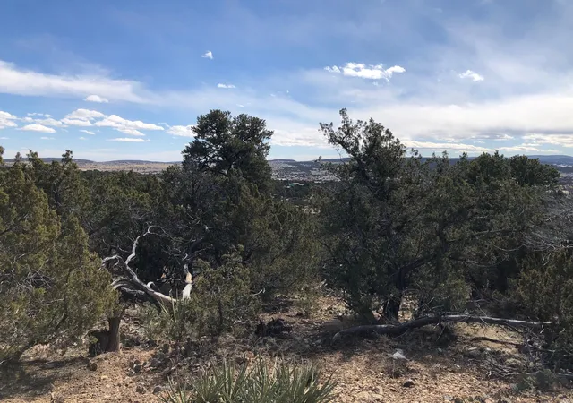 Photo 3 of Land for sale at 6 Joy Ct, Sandia Park, NM 87047 | MLS# 1103294 | Listing updated on 2026-08-07