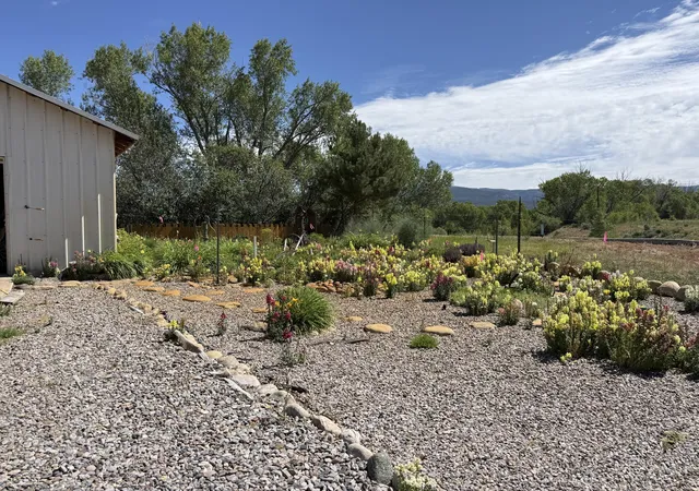 Homes for sale in Los Ojos, NM | 17102 US 64/84, Los Ojos, NM 87551 | MLS# 1103347