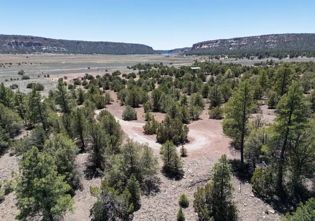 Photo 1 of Land for sale at Lot 17 Buttonwood Dr, Ramah, NM 87321 | MLS# 1103386 | Listing updated on 2026-08-19