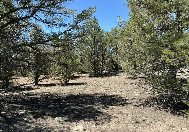 Photo 3 of Land for sale at Lot 17 Buttonwood Dr, Ramah, NM 87321 | MLS# 1103386 | Listing updated on 2026-08-19