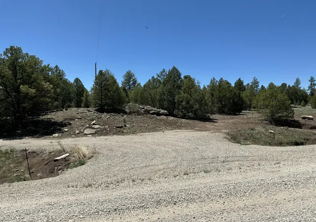 Photo 4 of Land for sale at Lot 17 Buttonwood Dr, Ramah, NM 87321 | MLS# 1103386 | Listing updated on 2026-08-19