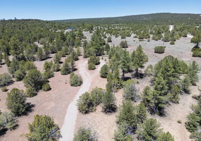 Photo 81 of Land for sale at Lot 17 Buttonwood Dr, Ramah, NM 87321 | MLS# 1103386 | Listing updated on 2026-08-19