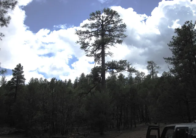 Photo 15 of Sale Pending at 20 Estrella Vista Dr, Tijeras, NM 87059 | MLS# 1103435 | Listing updated on 2026-08-14