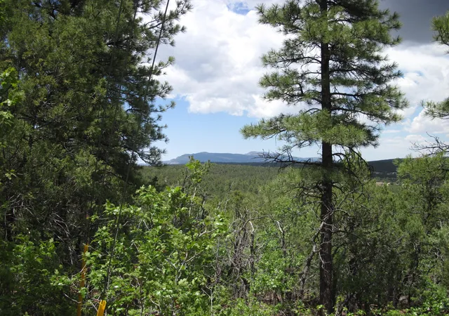 Photo 1 of Sale Pending at 20 Estrella Vista Dr, Tijeras, NM 87059 | MLS# 1103435 | Listing updated on 2026-08-14