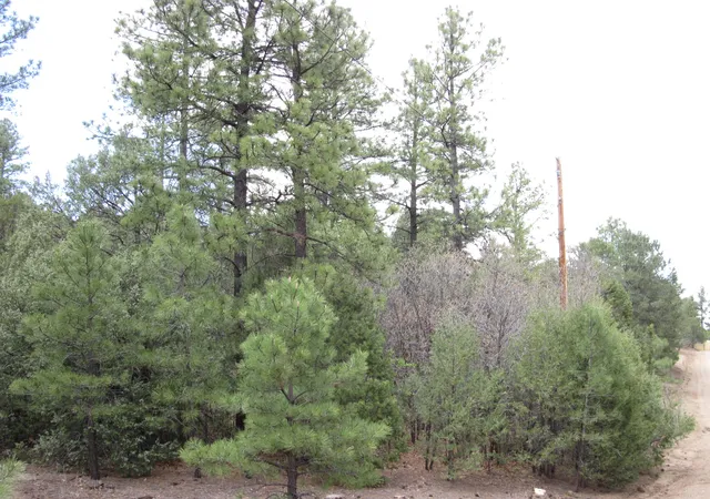 Photo 2 of Sale Pending at 20 Estrella Vista Dr, Tijeras, NM 87059 | MLS# 1103435 | Listing updated on 2026-08-14