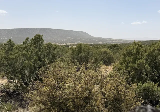 Photo 2 of Land for sale at 251 Keres Trl, Mountainair, NM 87036 | MLS# 1103451 | Listing updated on 2026-07-21