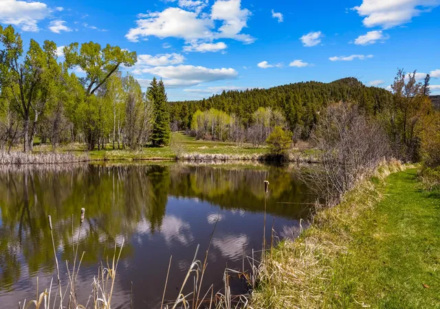 47th image of 220 County Road 342, Chama, NM 87520 | MLS# 1103705