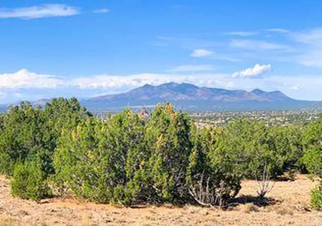 Homes for sale in Sandia Park, NM | 3 Camino Real, Sandia Park, NM 87047 | MLS# 1103707