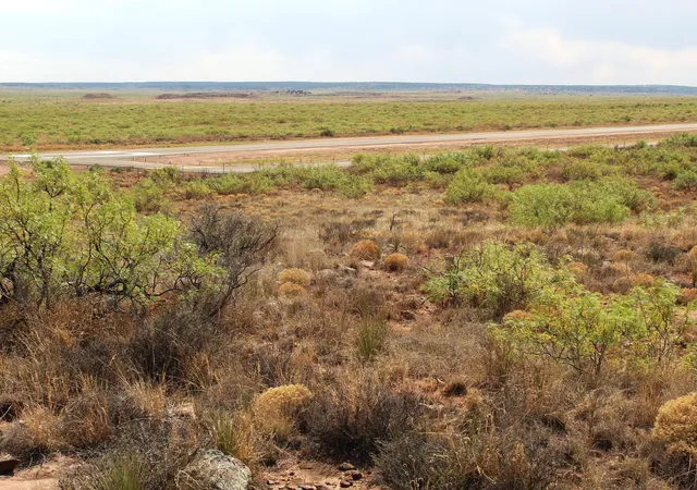 Photo 15 of Sale Pending at Lots 17 24 Nickel Ln, Conchas Dam, NM 88416 | MLS# 1103731 | Listing updated on 2026-08-28