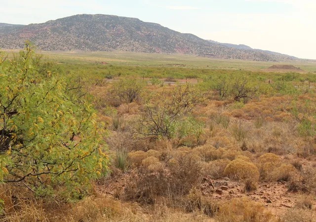 Photo 2 of Sale Pending at Lots 17 24 Nickel Ln, Conchas Dam, NM 88416 | MLS# 1103731 | Listing updated on 2026-08-28