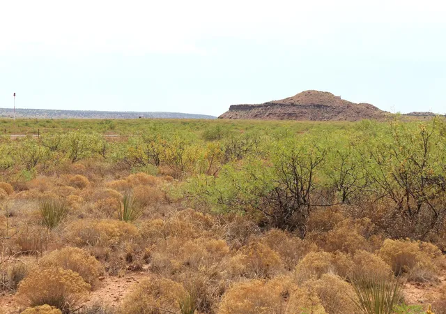 Photo 3 of Sale Pending at Lots 17 24 Nickel Ln, Conchas Dam, NM 88416 | MLS# 1103731 | Listing updated on 2026-08-28