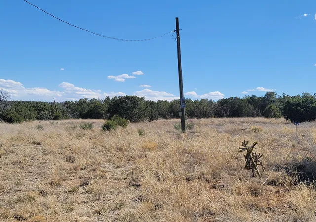 4th image of 2006 Nm 333, Edgewood, NM 87015 | MLS# 1103782