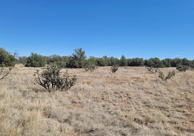 2nd image of 2000 Nm 333, Edgewood, NM 87015 | MLS# 1103785