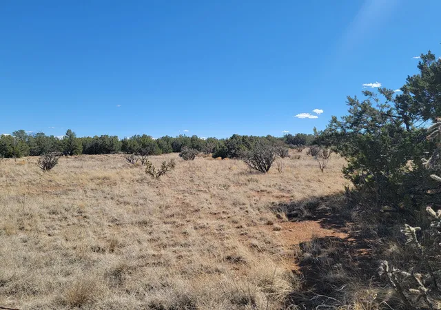 3rd image of 2000 Nm 333, Edgewood, NM 87015 | MLS# 1103785