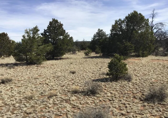 Homes for sale in Ramah, NM | Lots 15 16 Country Ln, Ramah, NM 87321 | MLS# 1103809