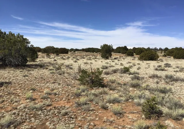 Homes for sale in Ramah, NM | Lots 15 16 Country Ln, Ramah, NM 87321 | MLS# 1103809