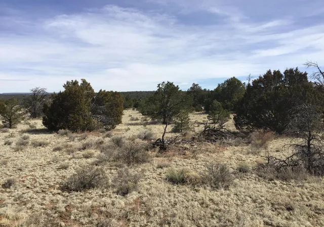 Homes for sale in Ramah, NM | Lots 15-16 Country Ln, Ramah, NM 87321 | MLS# 1103809