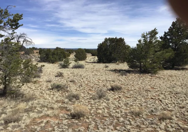 Homes for sale in Ramah, NM | Lots 15-16 Country Ln, Ramah, NM 87321 | MLS# 1103809