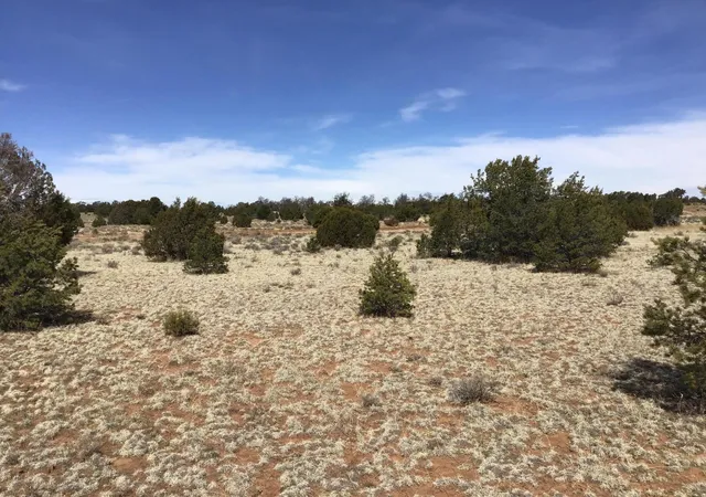 Homes for sale in Ramah, NM | Lots 15-16 Country Ln, Ramah, NM 87321 | MLS# 1103809