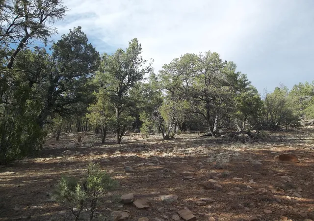 Homes for sale in Ramah, NM | Lots 20 23 Box S Ranch Rd, Ramah, NM 87321 | MLS# 1103871