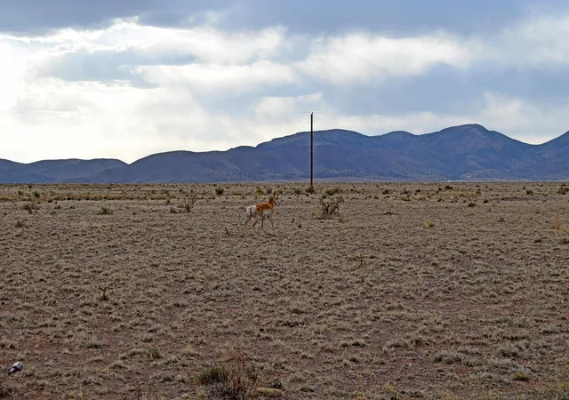 29th image of Lot 3 69 High Chapparal Rd, San Antonio, NM 87801 | MLS# 1103899