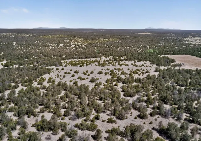 Photo 2 of Land for sale at Old Chilili Rd, Tijeras, NM 87059 | MLS# 1104076 | Listing updated on 2026-07-22