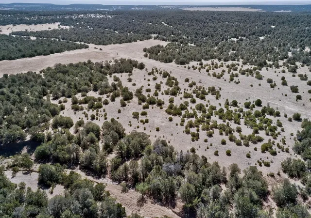 Photo 2 of Land for sale at Old Chilili Rd, Tijeras, NM 87059 | MLS# 1104076 | Listing updated on 2026-07-22