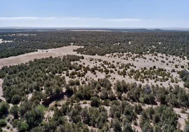 Photo 3 of Land for sale at Old Chilili Rd, Tijeras, NM 87059 | MLS# 1104076 | Listing updated on 2026-07-22